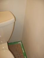 lower bathroom reno 2010